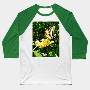 Butterflies - Yellow Swallowtail On Yellow Lantana Baseball T-Shirt